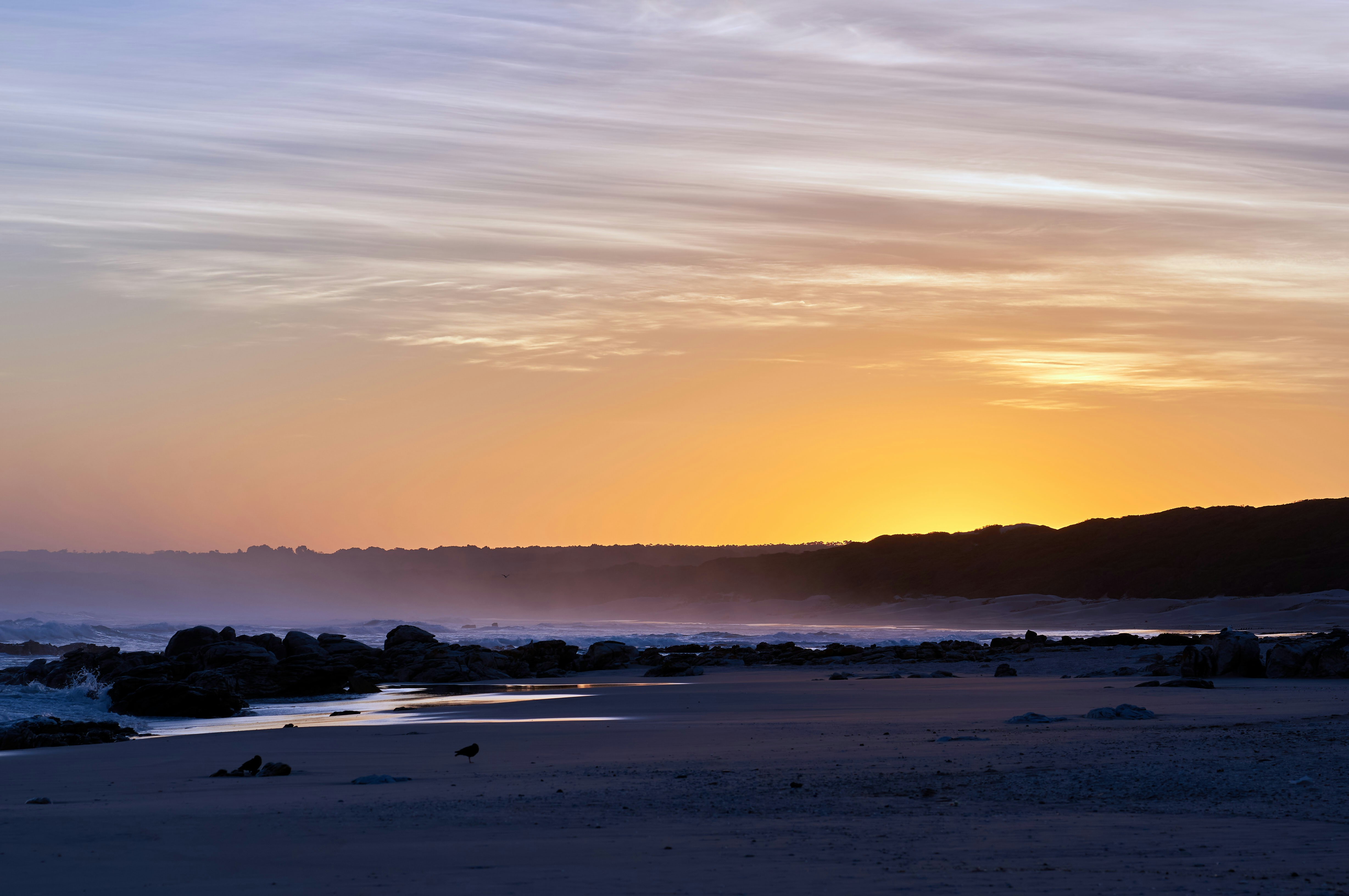 Photo by wolfgang_hasselmann