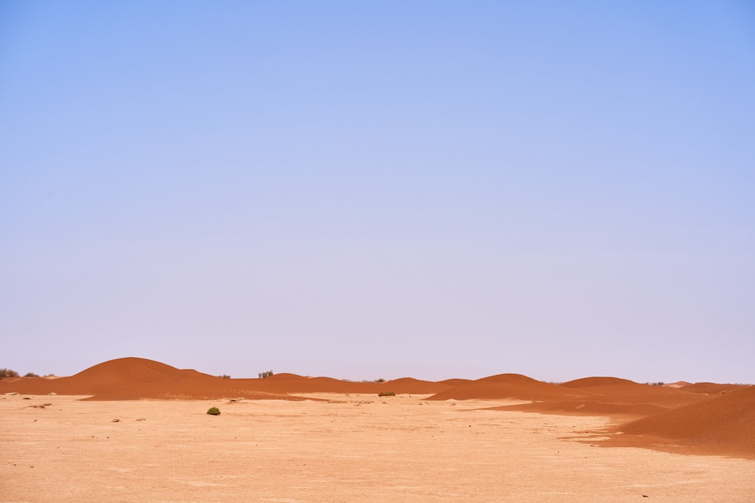 brown sand under blue sky during daytime