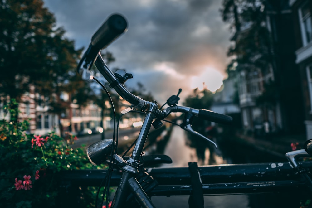black bicycle near green plants during sunset