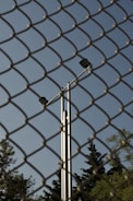 A chain-link fence dominates the foreground, while behind it, a tall metal pole with two spotlights is visible against a clear blue sky. Trees with dense foliage can be seen at the bottom of the frame, partially obscured by the fence.