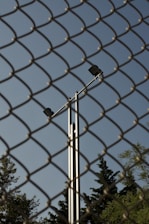 A chain-link fence dominates the foreground, while behind it, a tall metal pole with two spotlights is visible against a clear blue sky. Trees with dense foliage can be seen at the bottom of the frame, partially obscured by the fence.