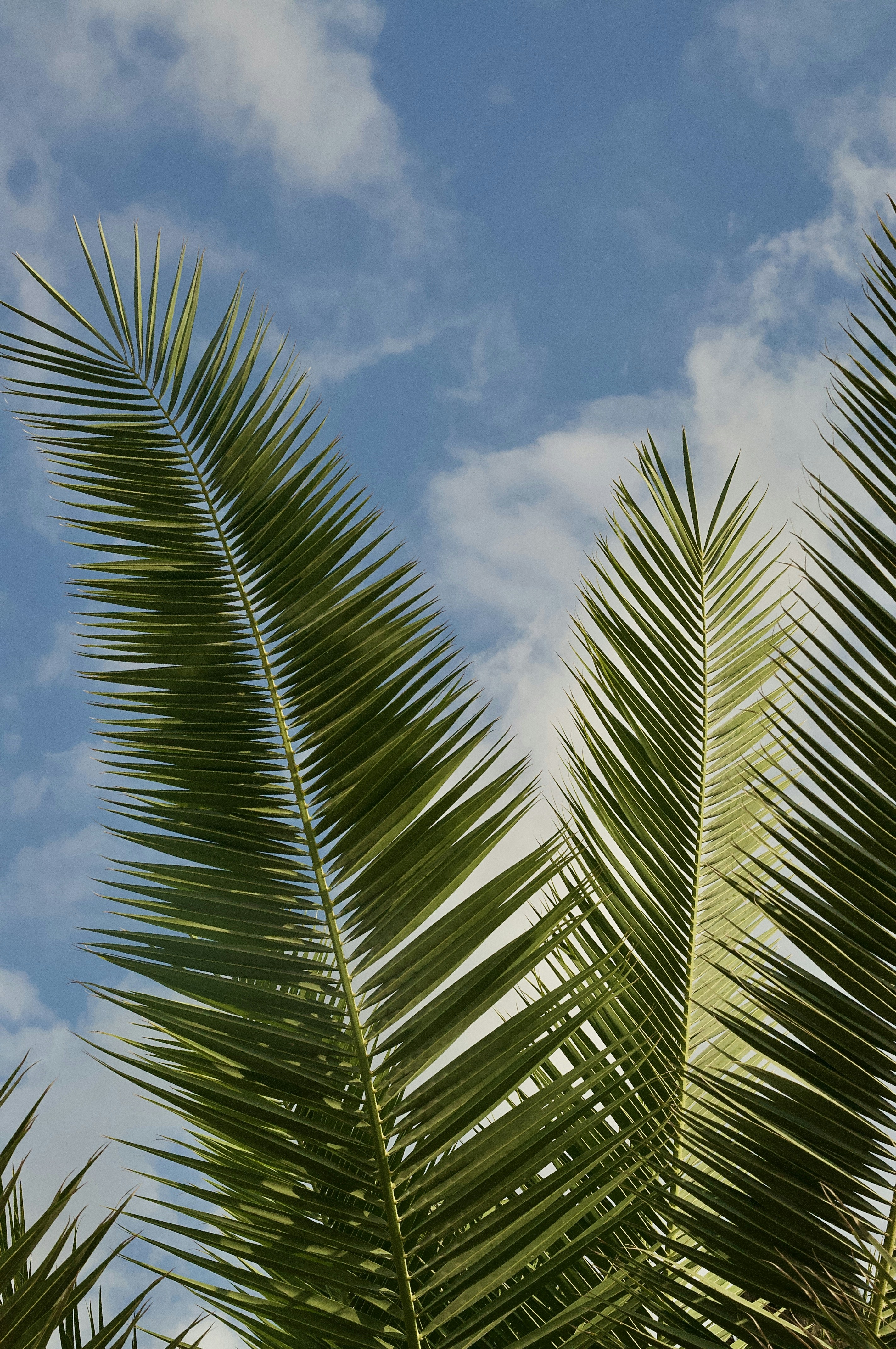 Photo by fagurbanova