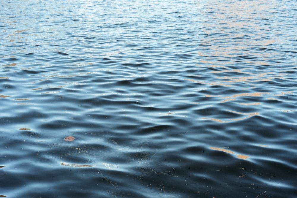 body of water during daytime