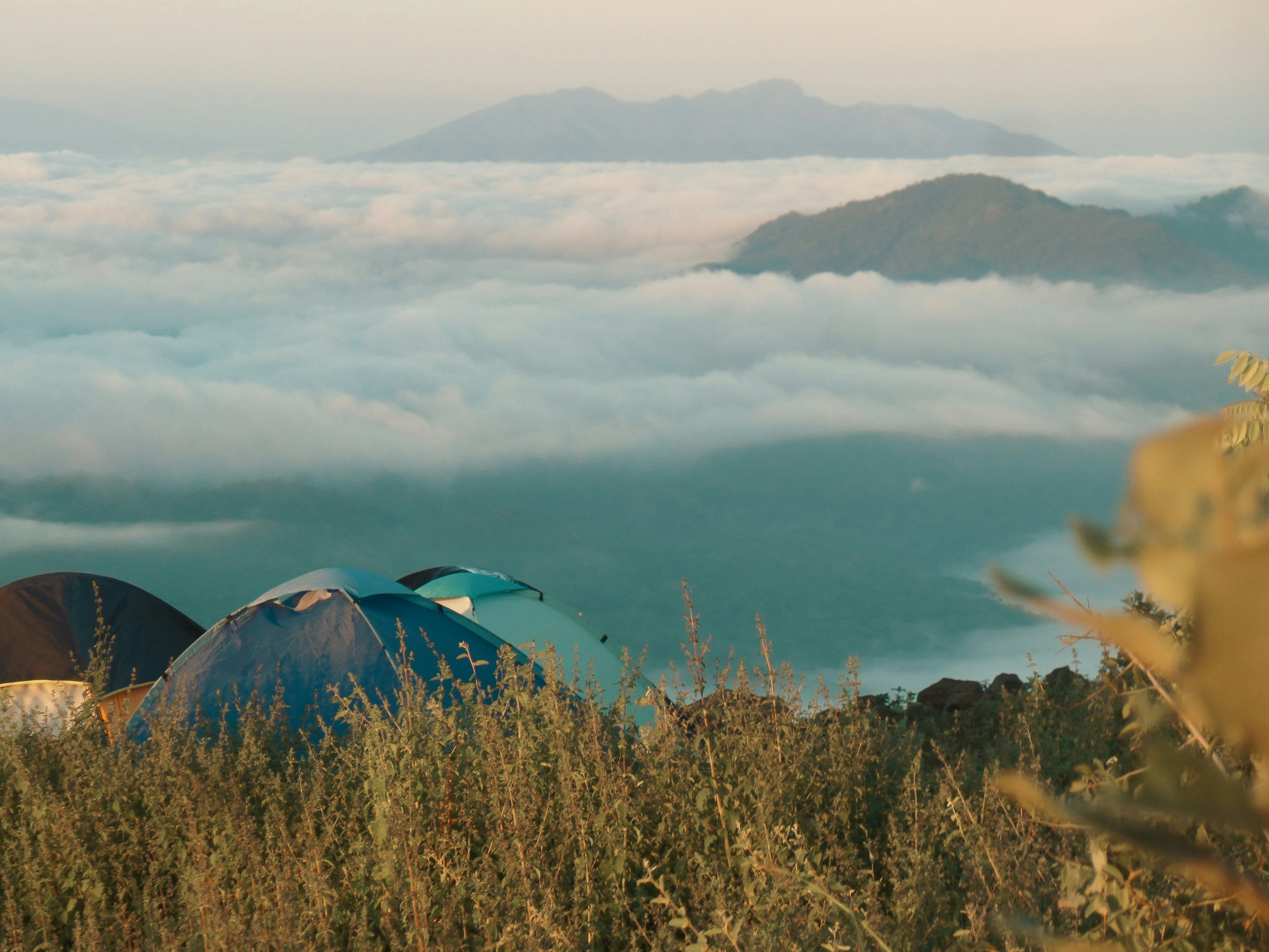 Photo by alejandroalas7536