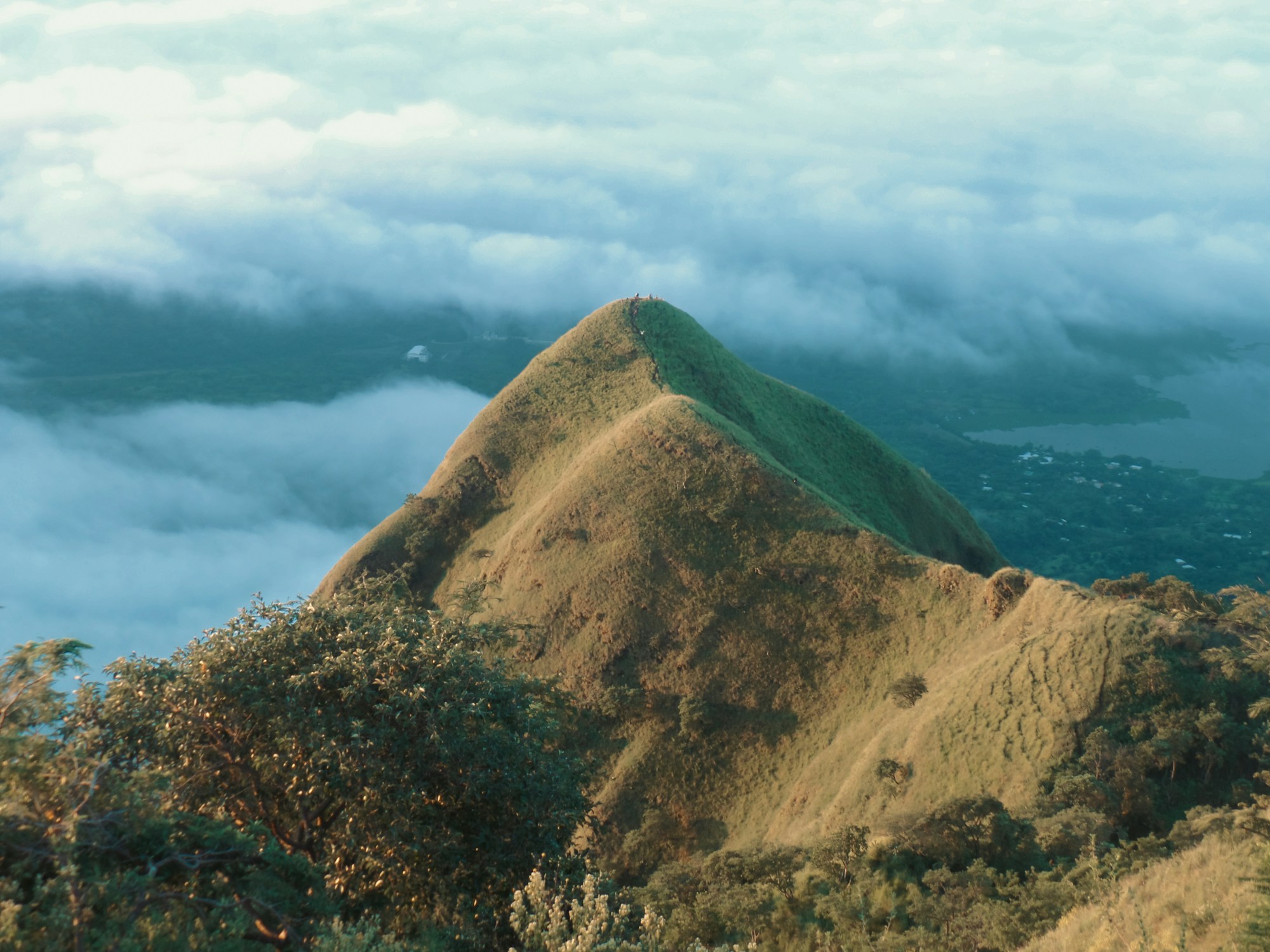 Unveiling El Salvador's Authentic Gastronomy: Local Dishes, Restaurants & Recipes