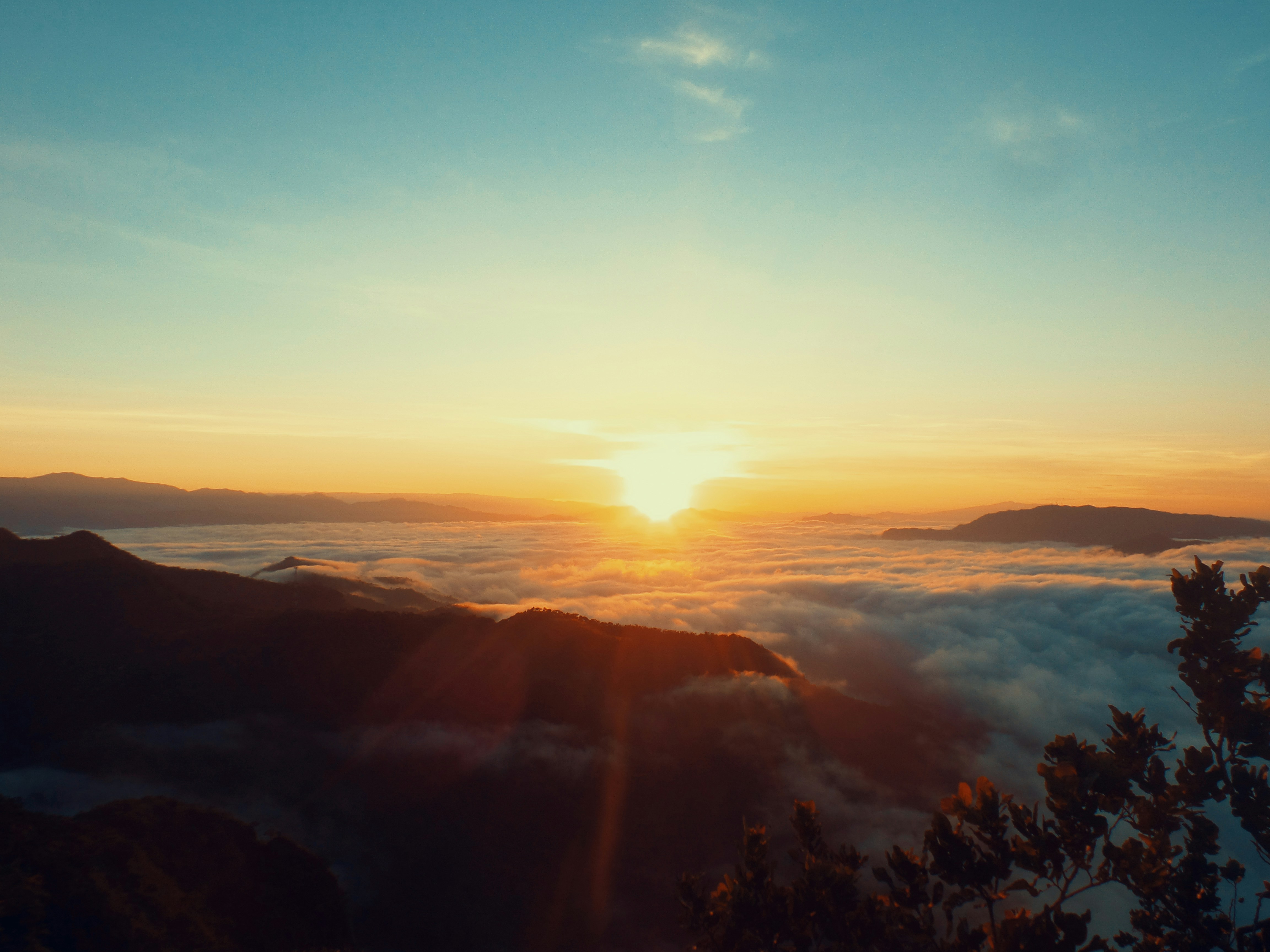 Photo by alejandroalas7536