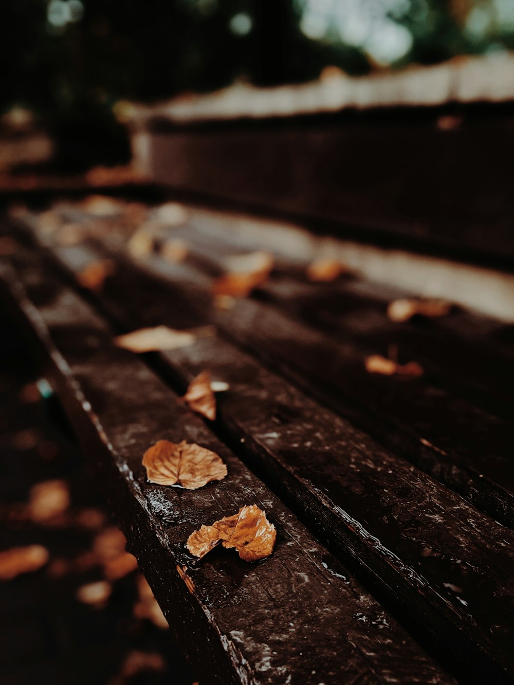 brown wooden plank with brown cookies