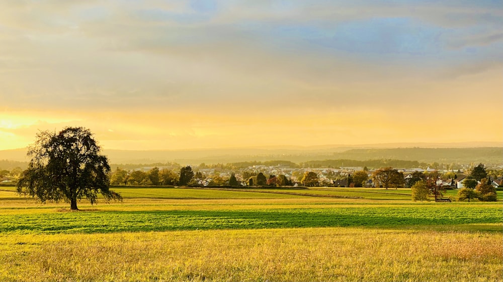 green grass field under cloudy sky during daytime