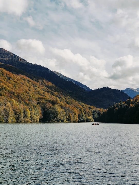 Biogradska Gora things to do in Žabljak