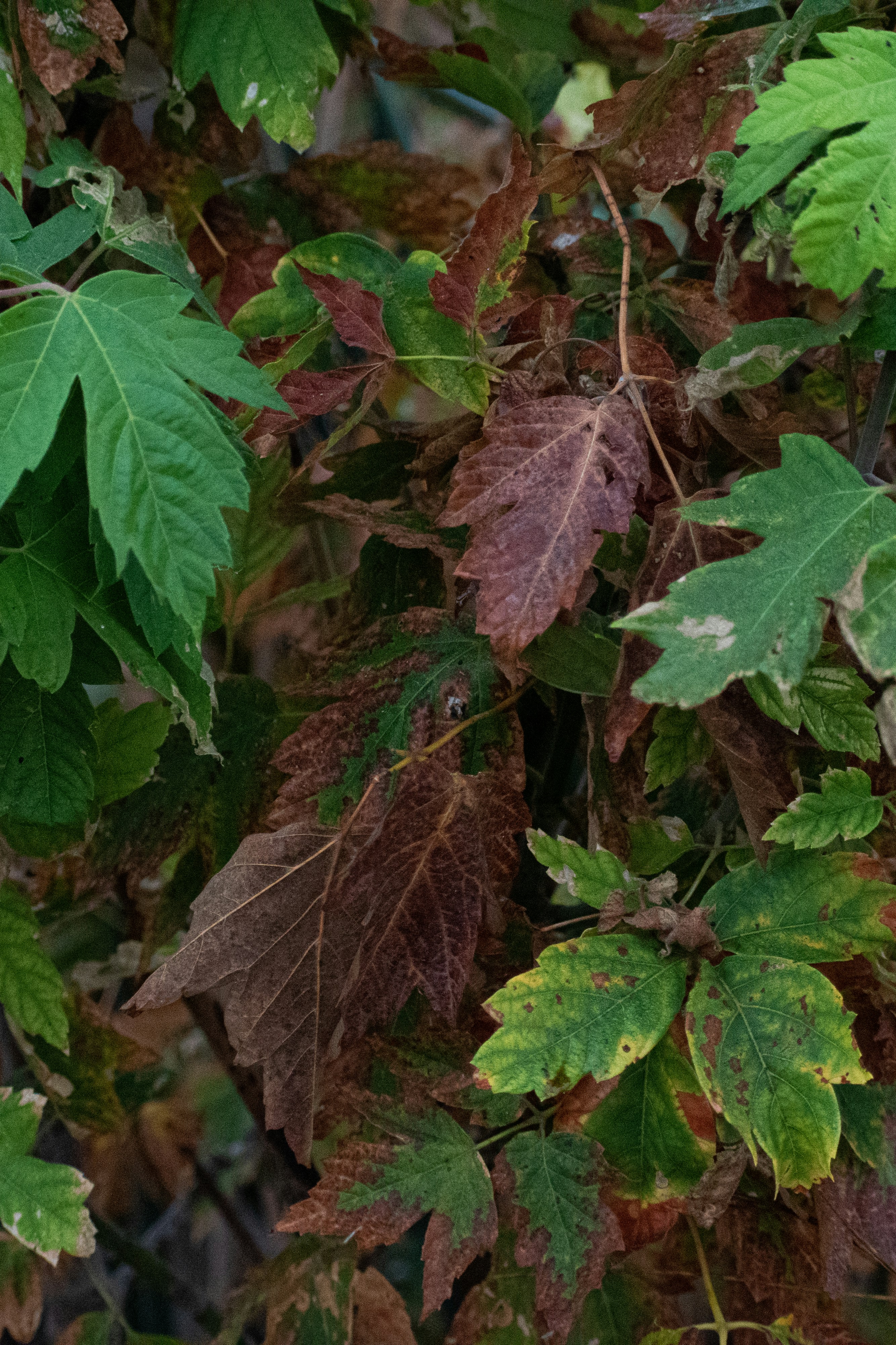 Photo by elisastonephotography