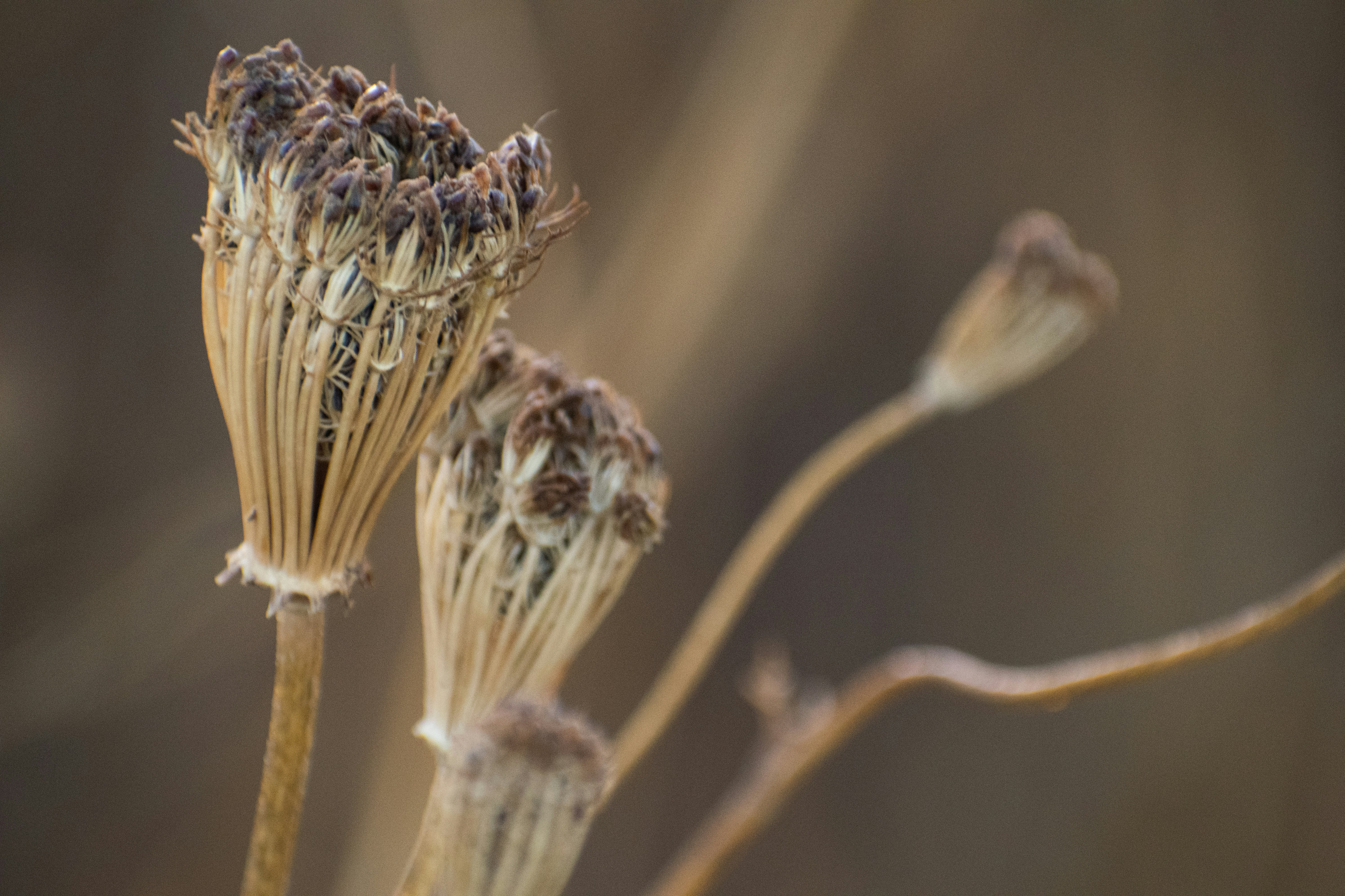 Photo by elisastonephotography