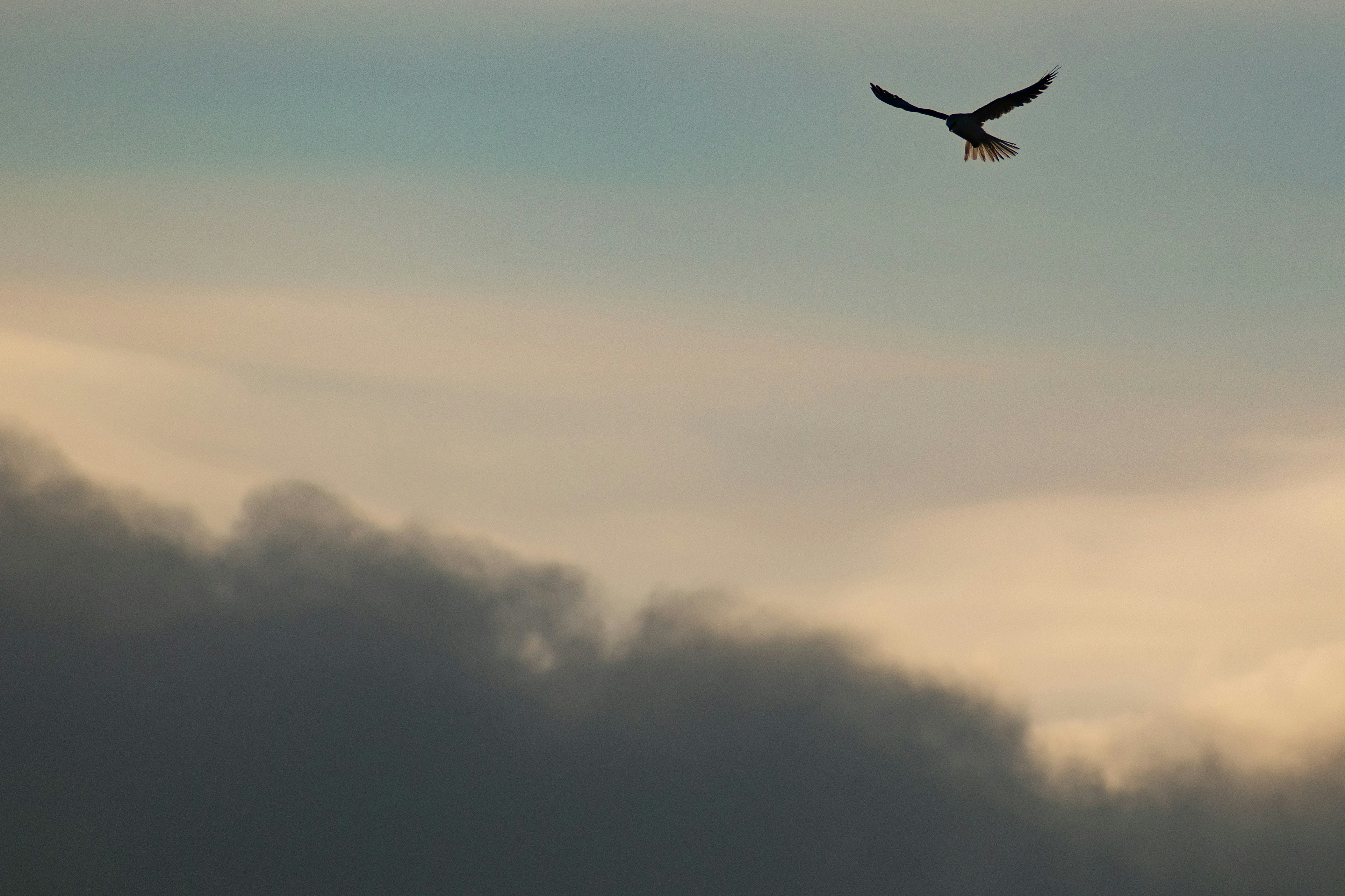 Photo by elisastonephotography