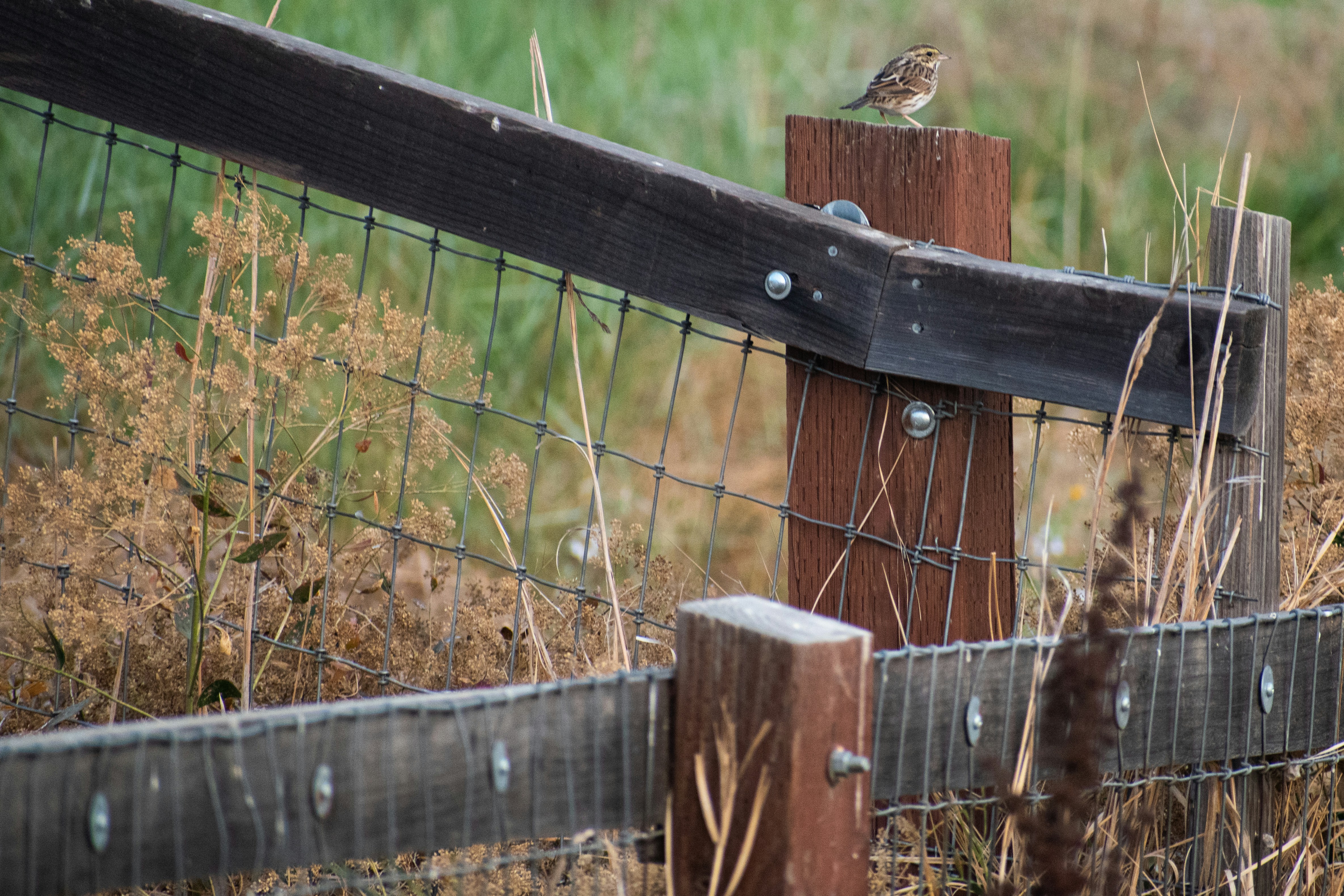 Photo by elisastonephotography