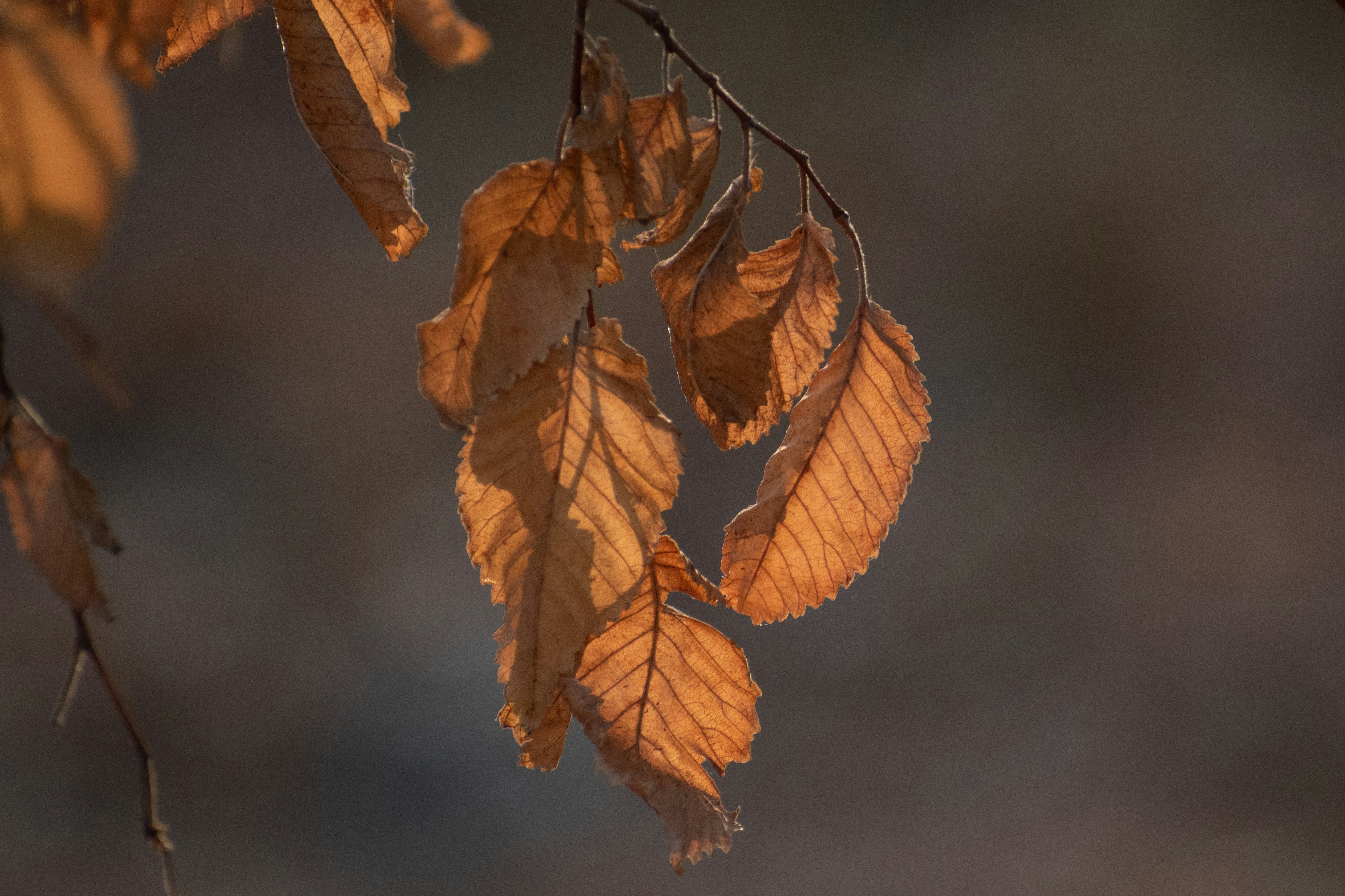 Photo by elisastonephotography