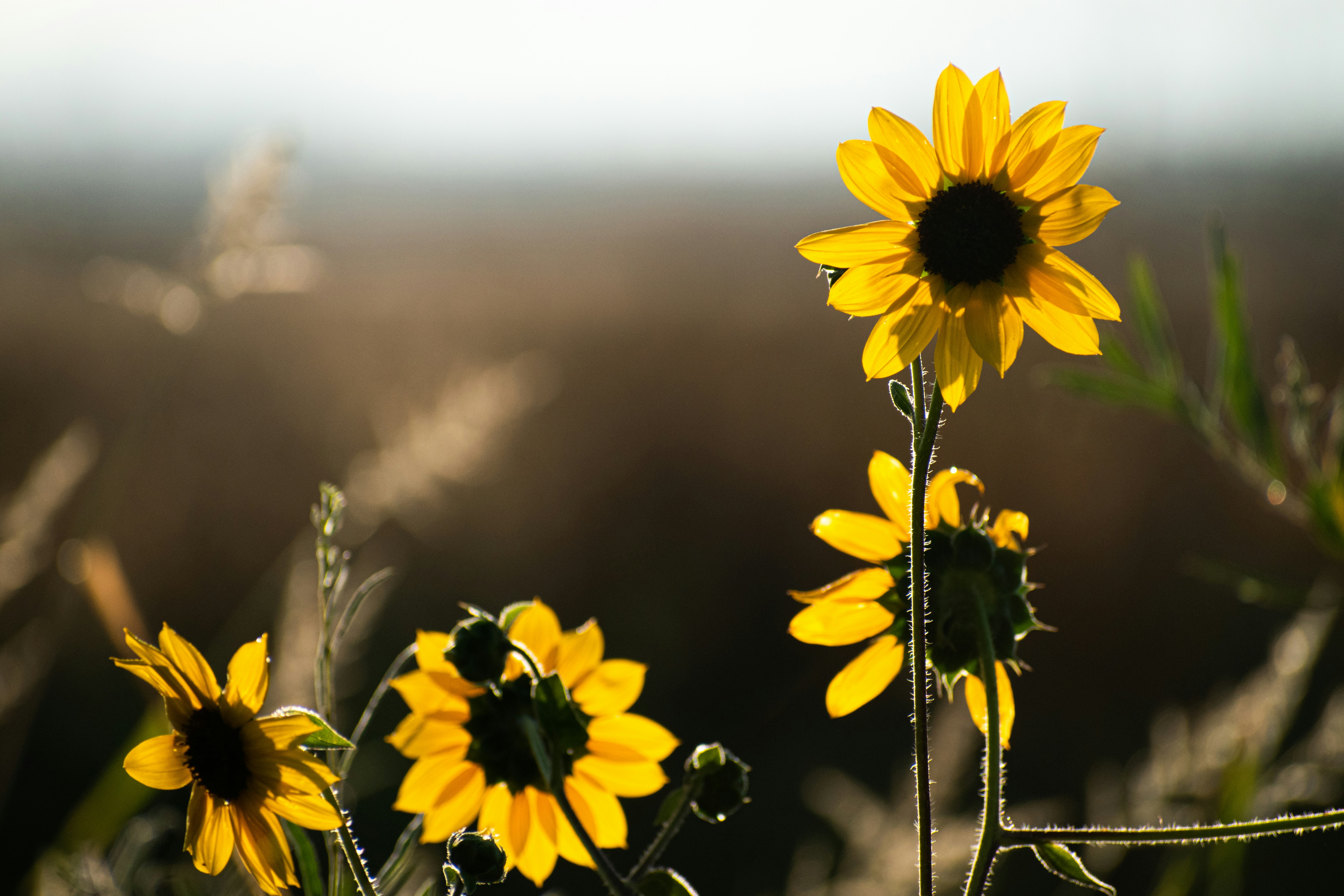 Photo by elisastonephotography