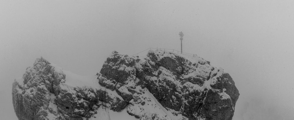 foto em escala de cinza de árvores na montanha