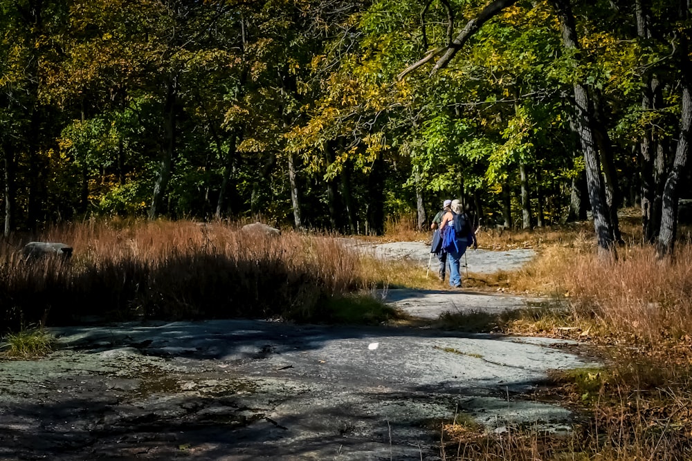 2 person walking on road between green trees during daytime