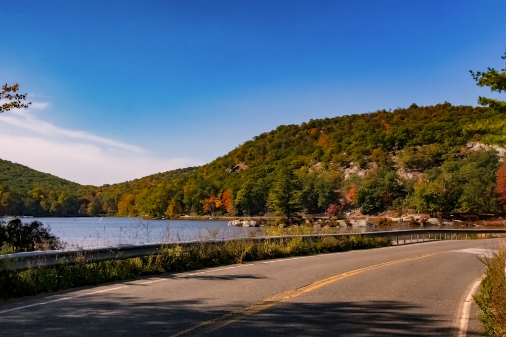 green trees near body of water during daytime