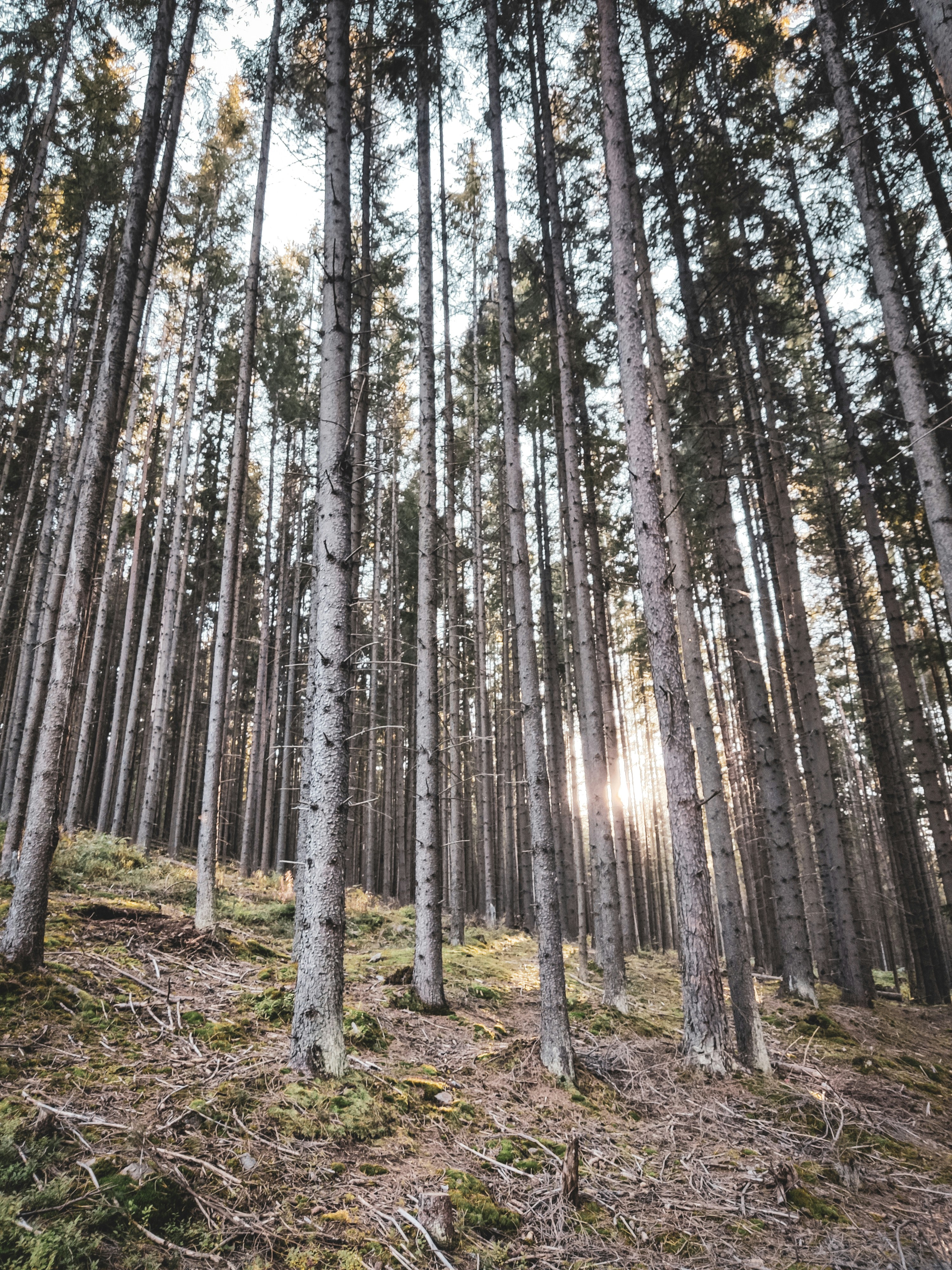 Photo by daniel_toth