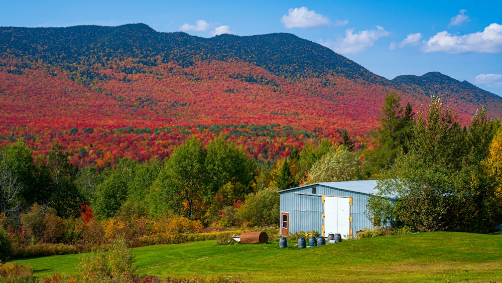 white wooden house on green grass field near mountain during daytime