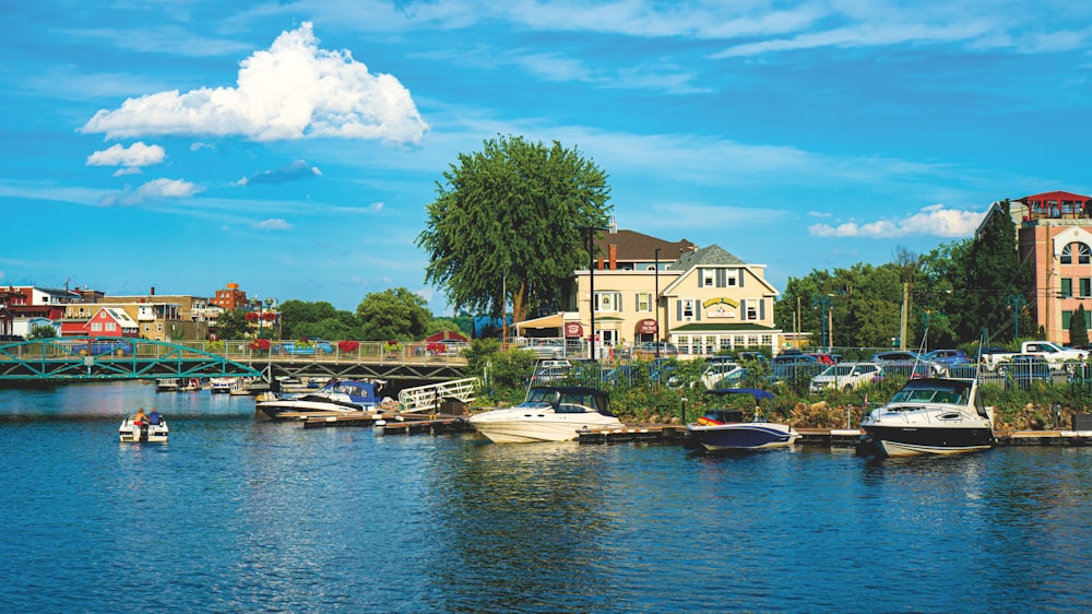 white and brown boats on dock during daytime