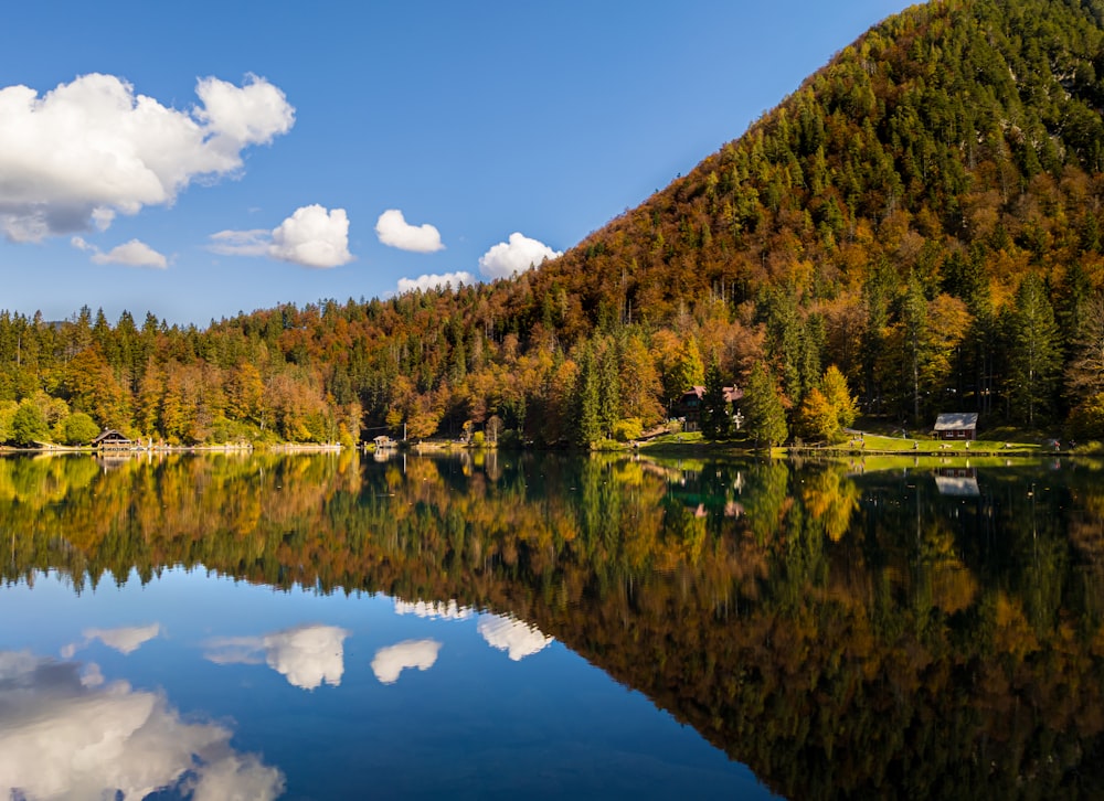 Grüne Bäume in der Nähe des Sees unter blauem Himmel während des Tages