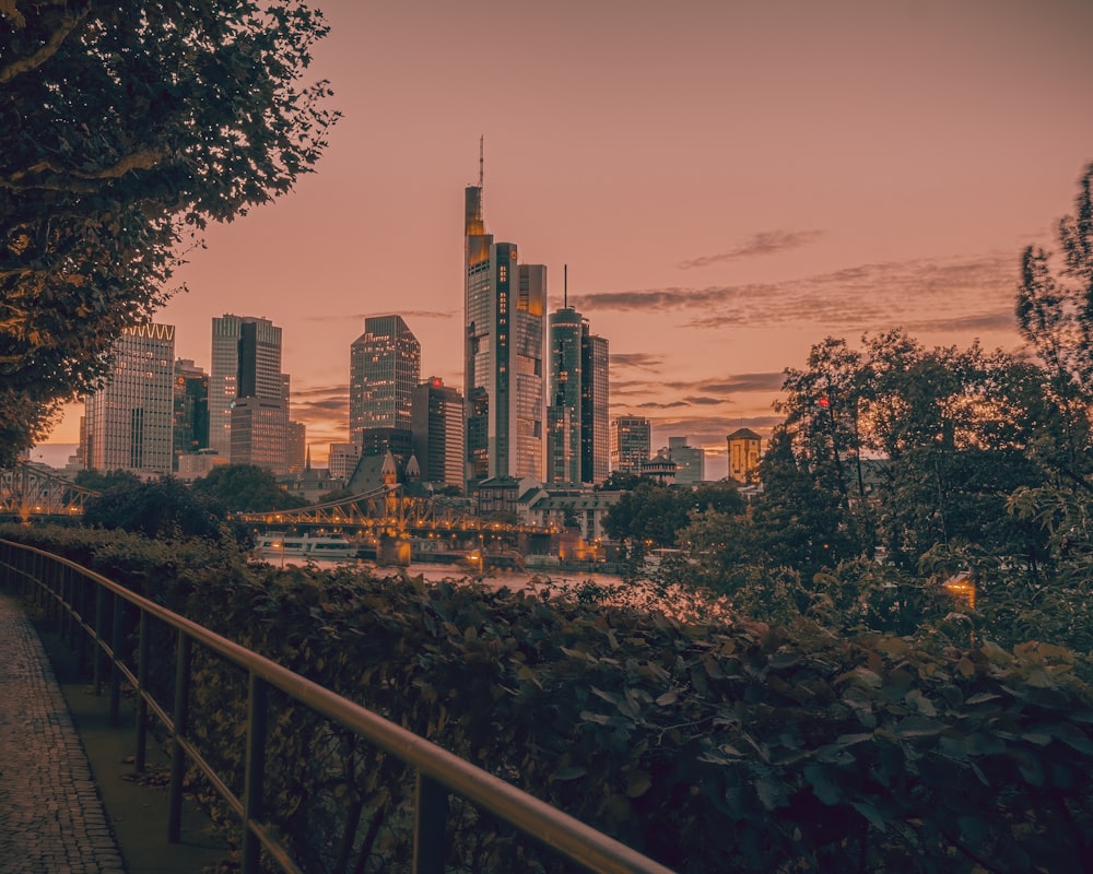 city skyline during night time