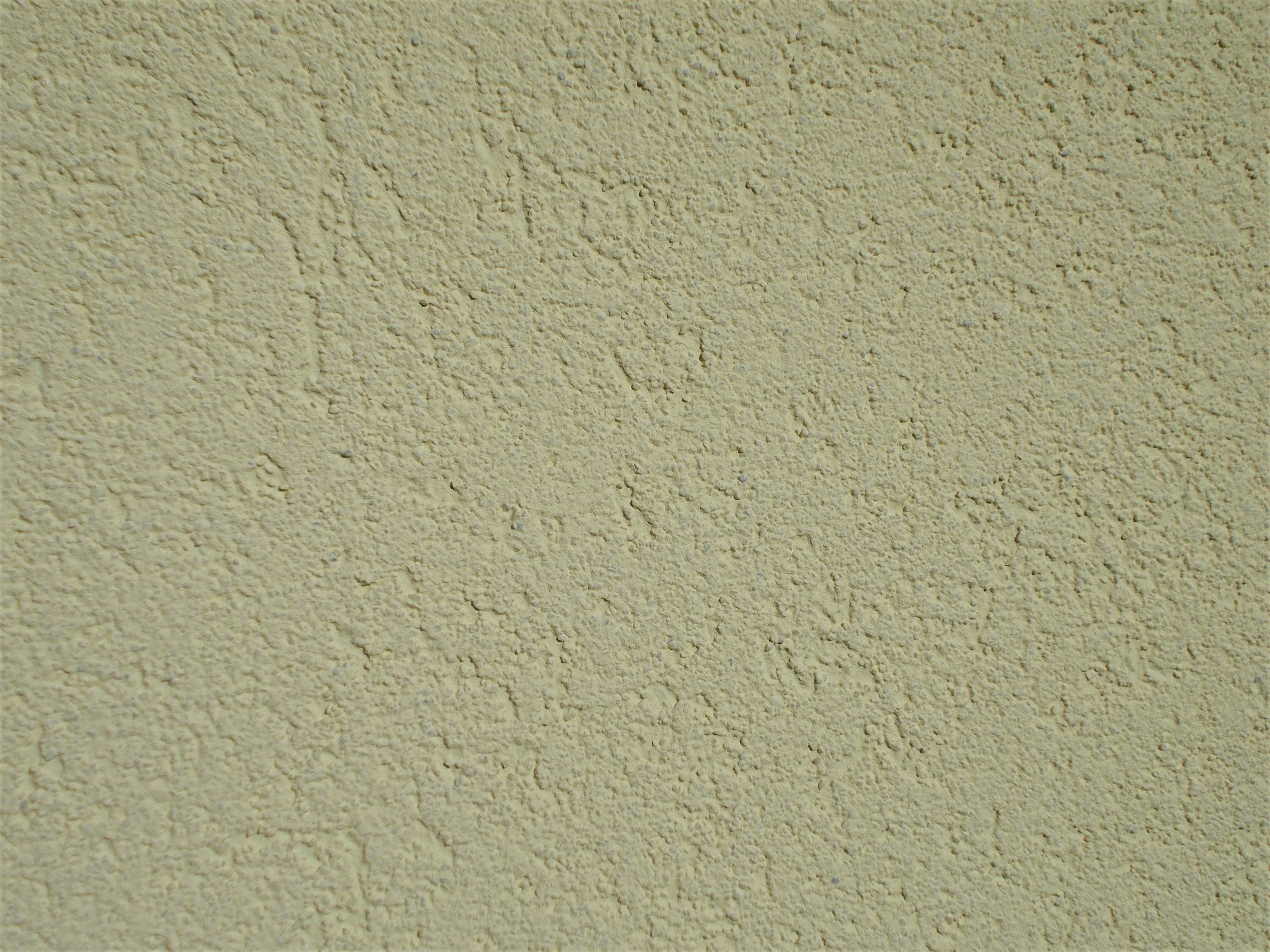 white wall paint with white wall paint