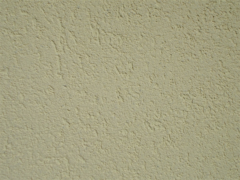 white wall paint with white wall paint