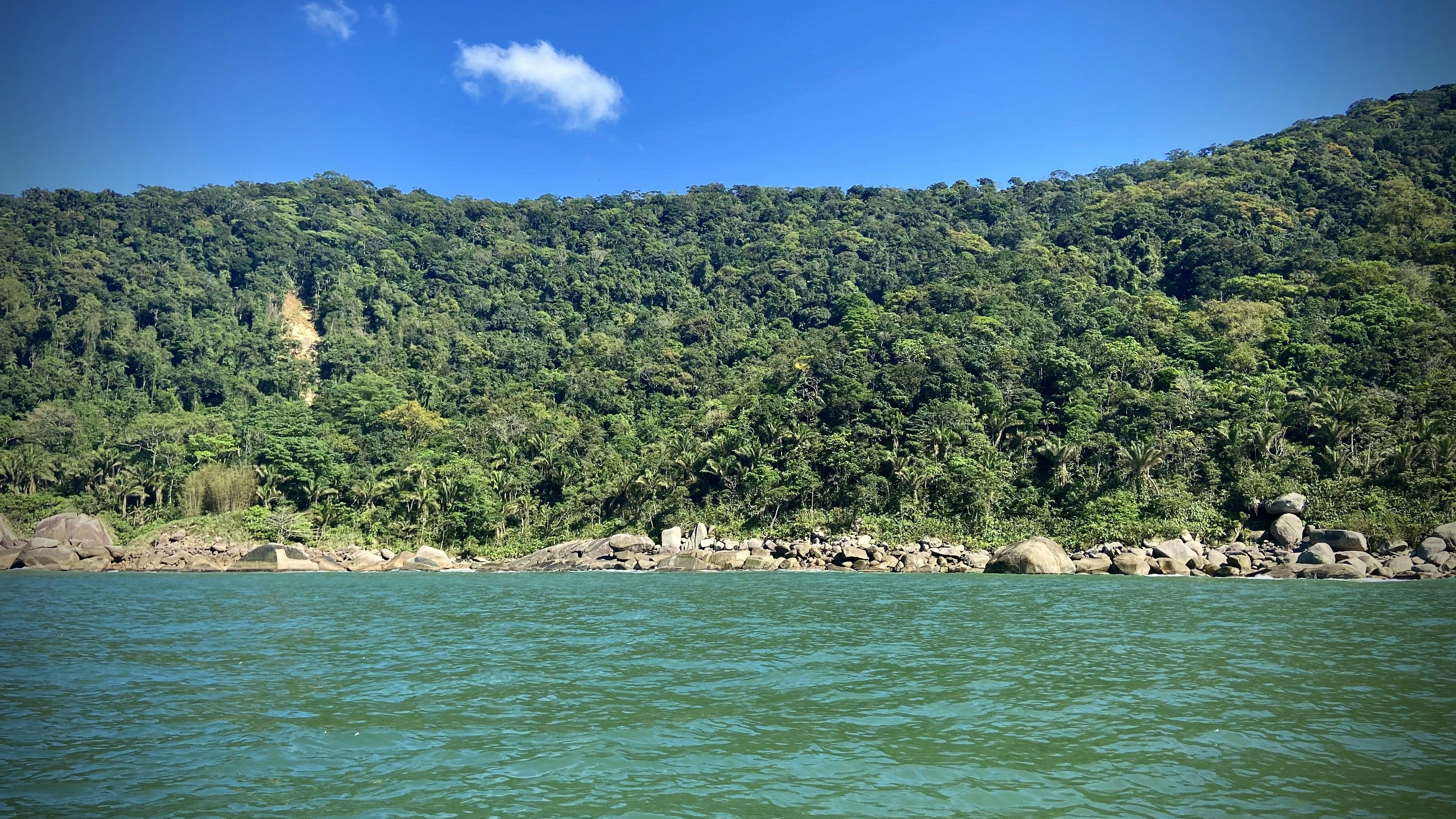 Photo by lucasbsallum