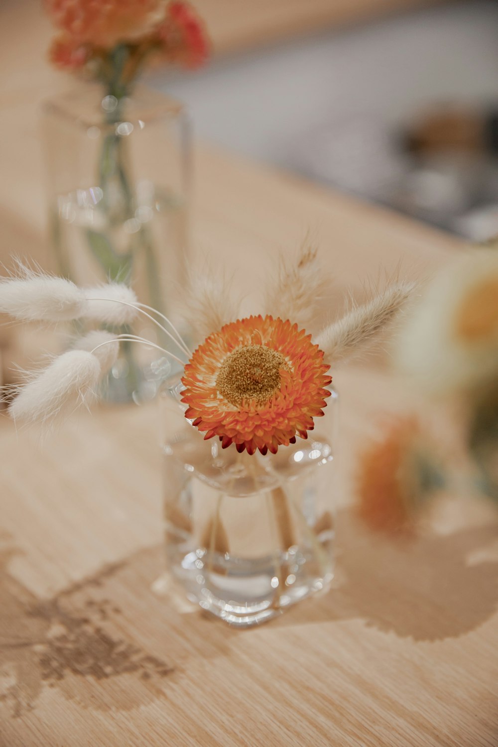 orange and white flower in clear glass vase