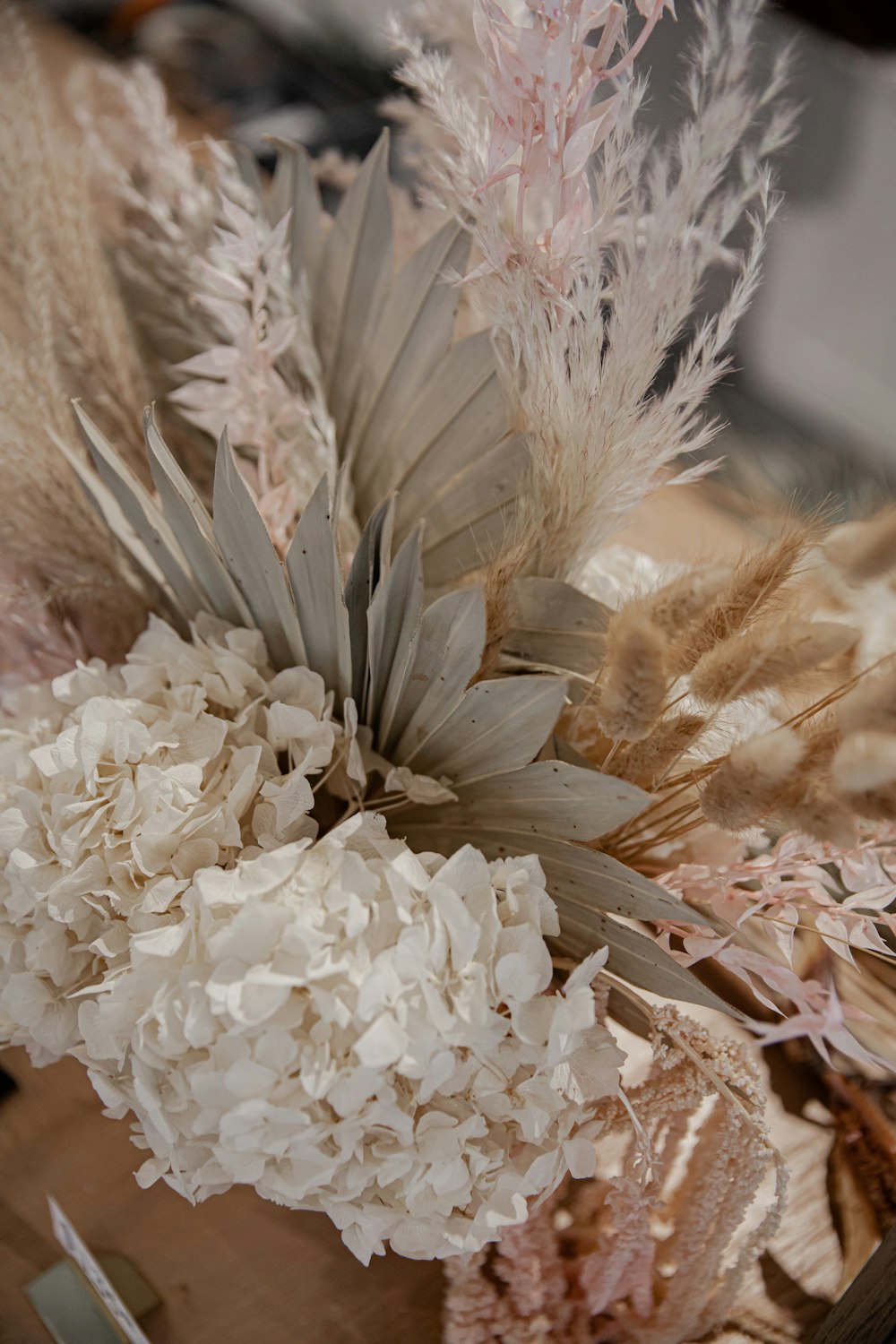 white and brown feather in close up photography