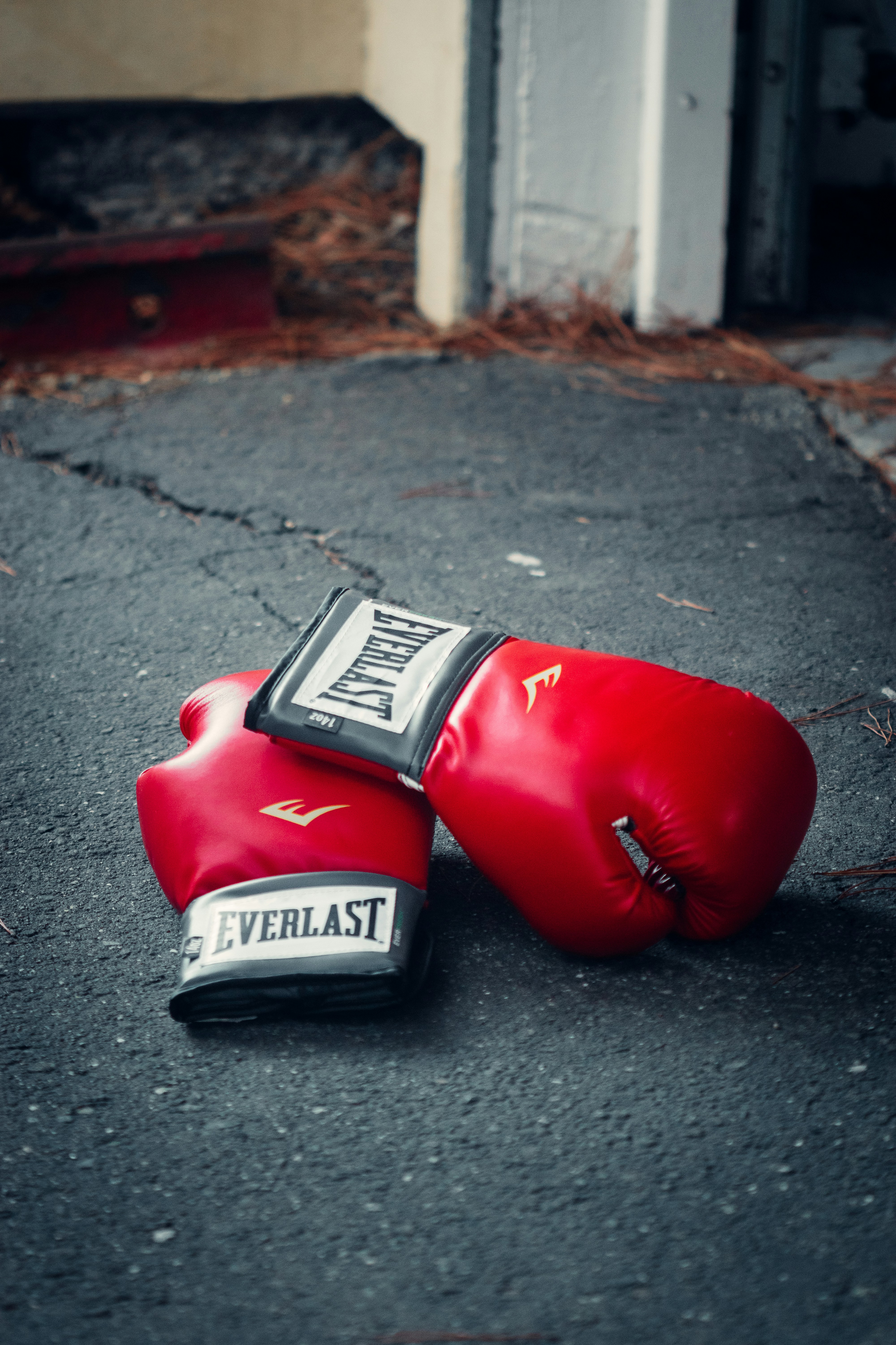 red and black boxing gloves