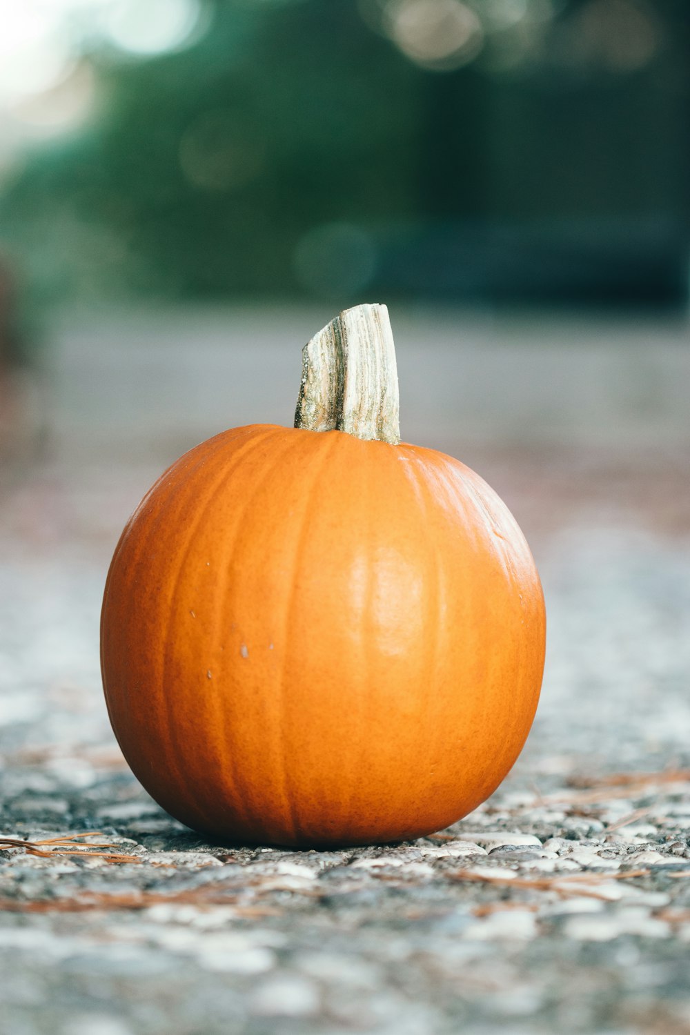 orange pumpkin on gray concrete floor