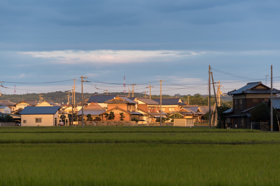 green grass field near houses during daytime