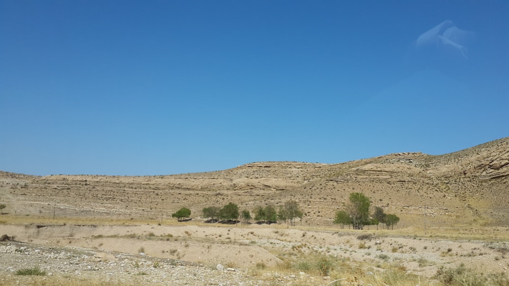 brown field under blue sky during daytime