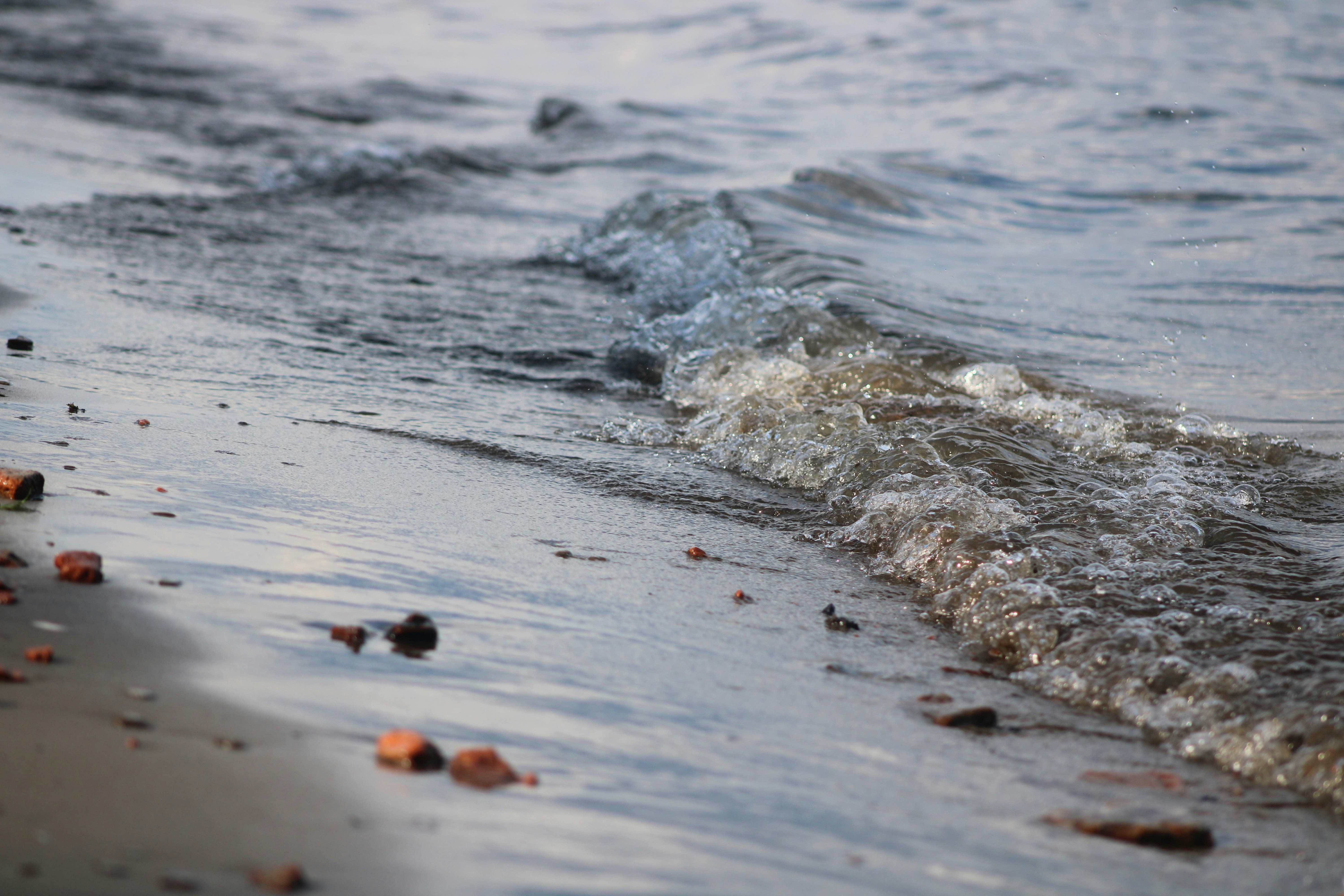 Photo by nova_brodhead