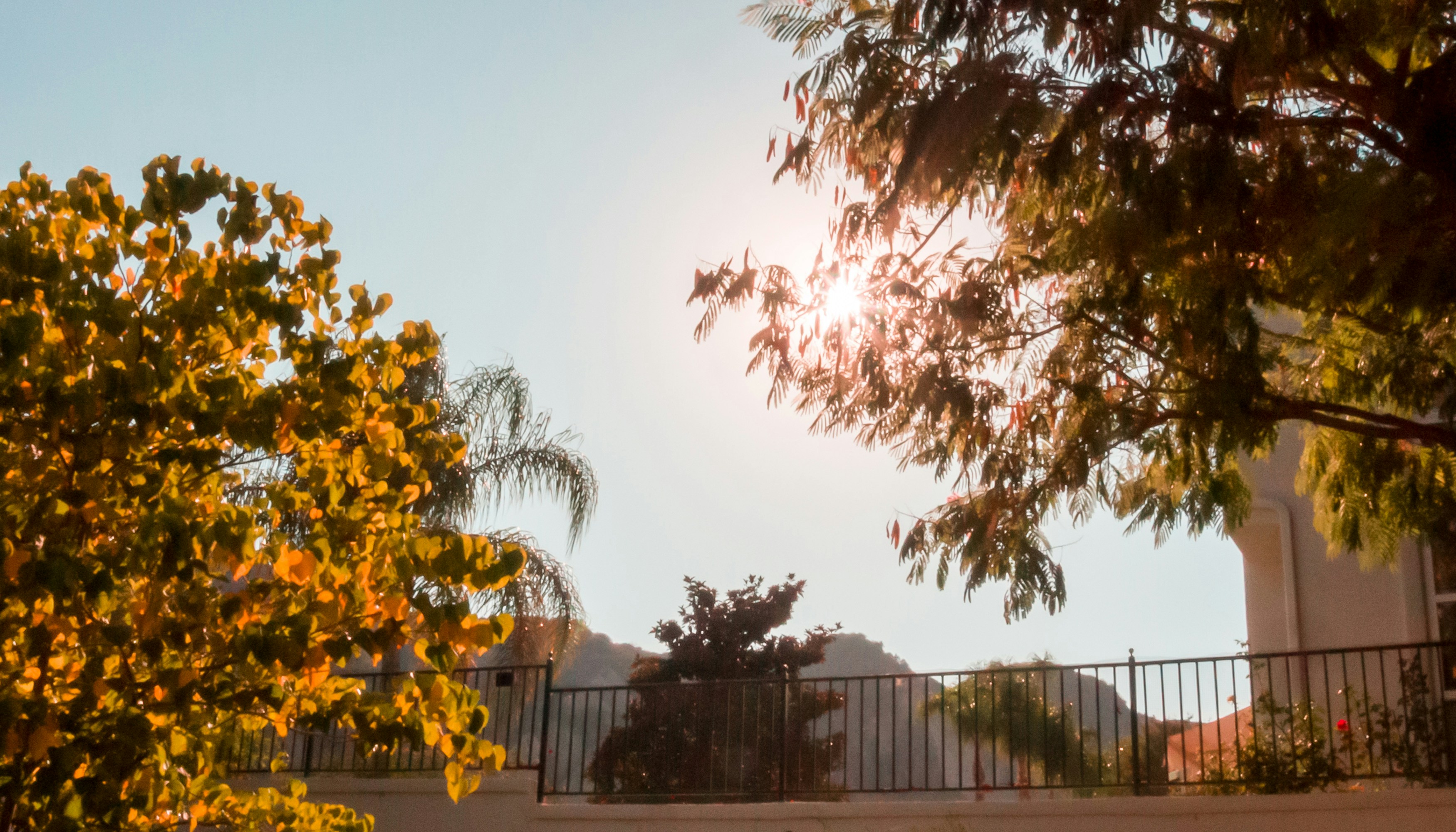 Photo by _nickwright_