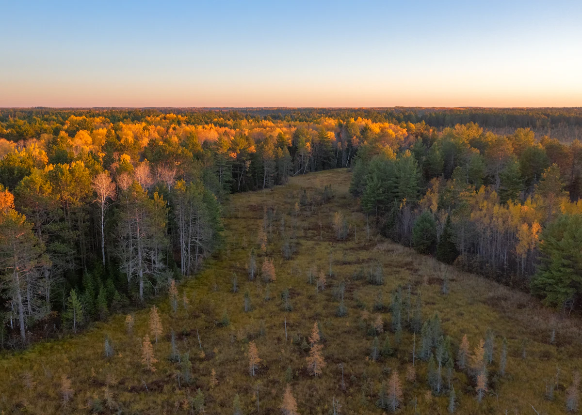 Autumn forest around a long open meadow in Iron County, Wisconsin, seen from above
