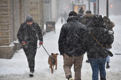 man in black jacket and brown pants holding black dog leash blizzard zoom background