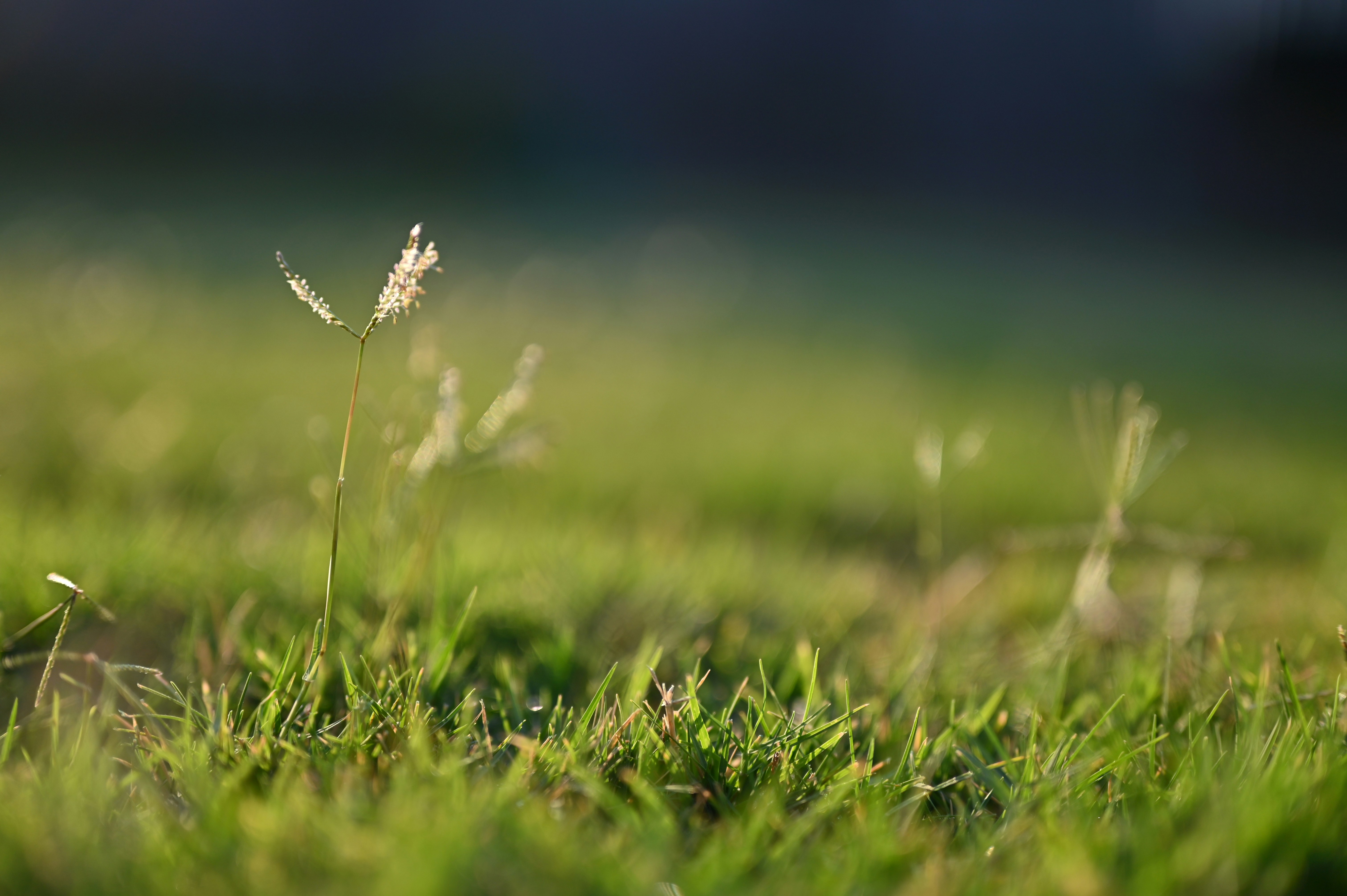 Photo by seventysixstories