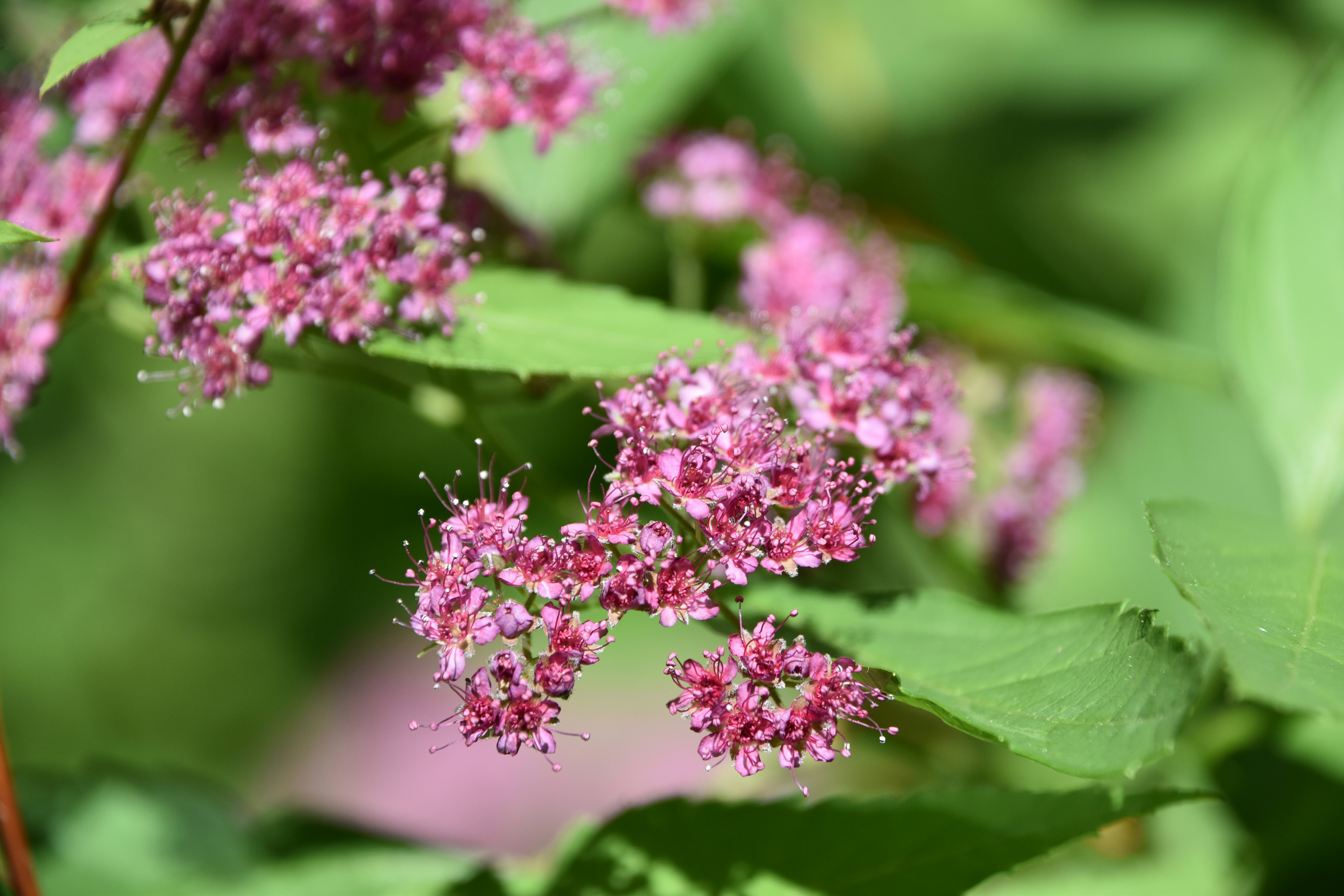 Photo by cindie_photographer