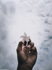 Gentle hands holding a white lily flower symbolizing peace and comfort.