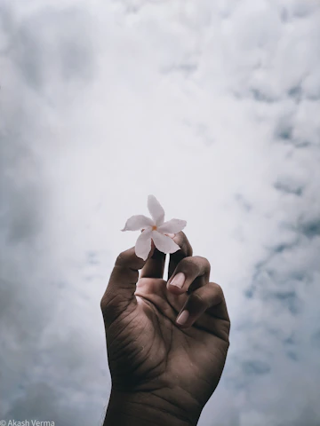 Gentle hands holding a white lily flower symbolizing peace and comfort.