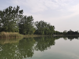 A peaceful nature scene with a calm lake and trees reflecting in the water.