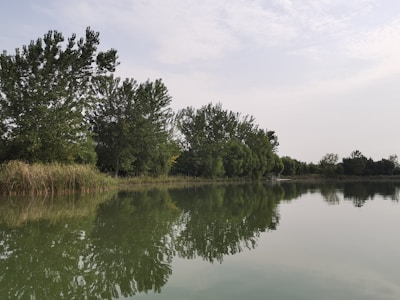 A peaceful nature scene with a calm lake and trees reflecting in the water.