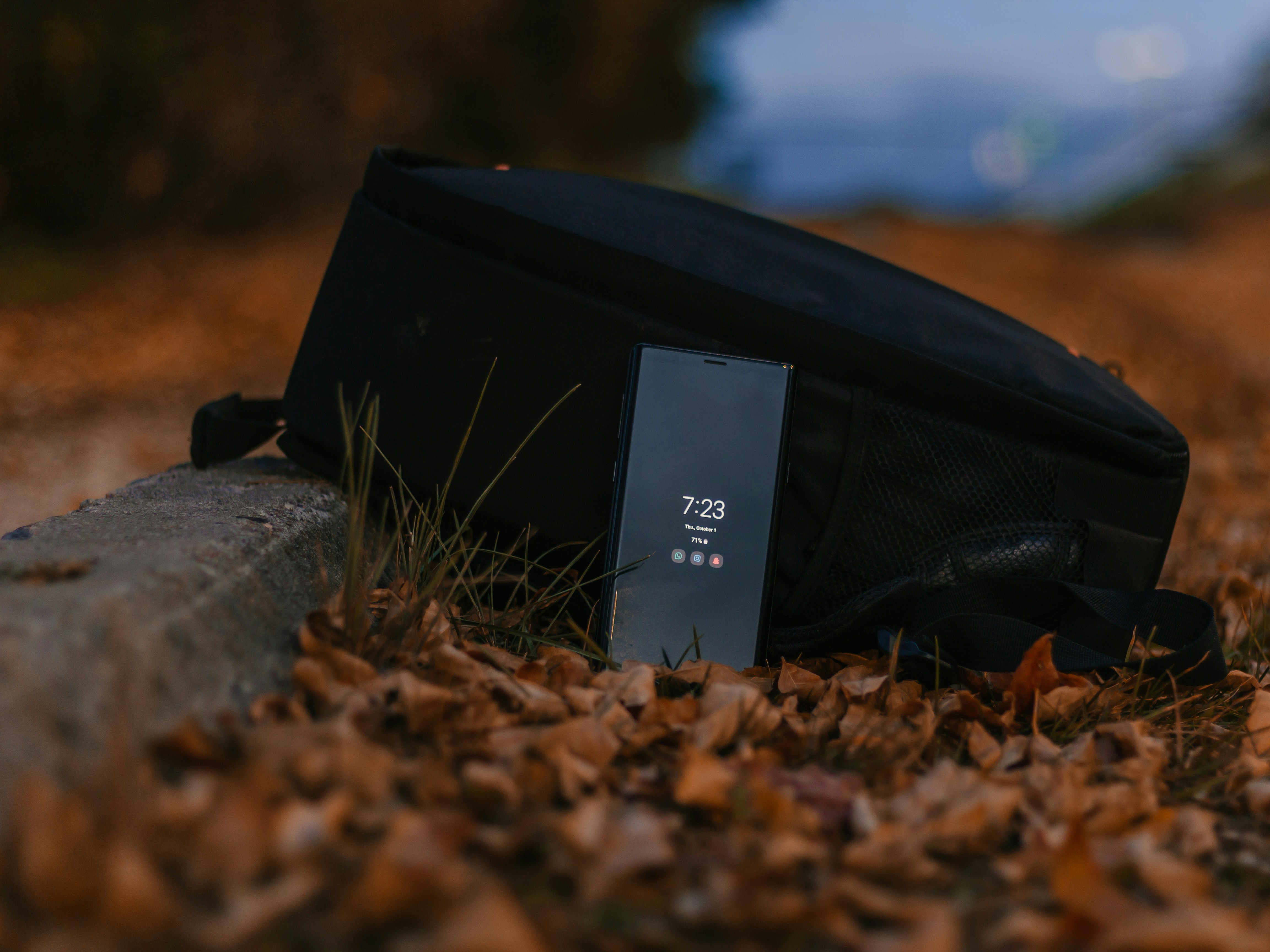 black and white box on brown dried leaves