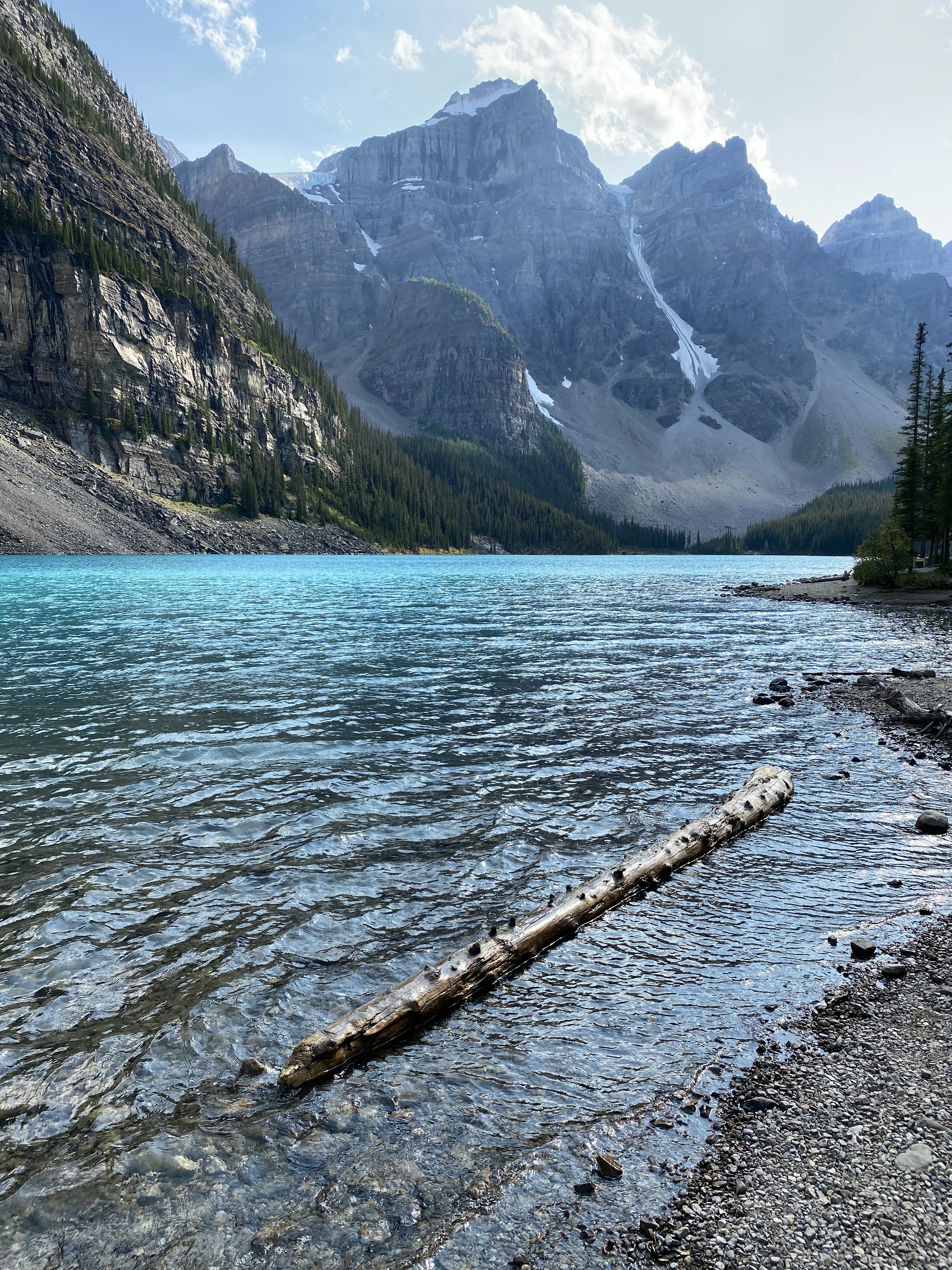 Brown wooden log on body of water near mountain during daytime photo ...
