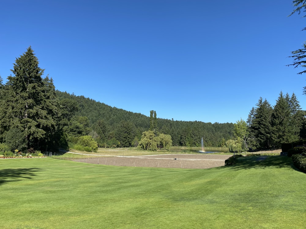 green grass field near green trees under blue sky during daytime