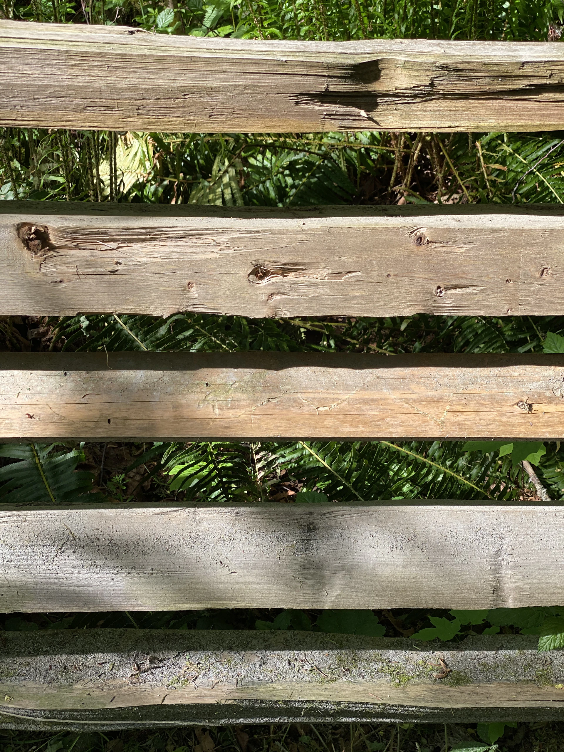 A beautifully crafted timber fence framing a lush tropical garden under the bright Cairns sun.